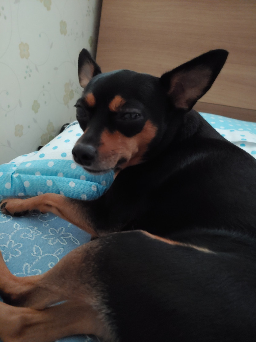 나이스 버닝이 ㅎ