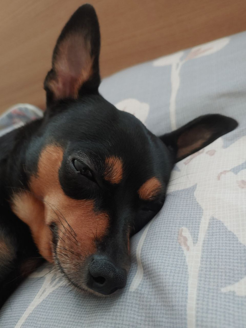 안녕하세요 ㅎ