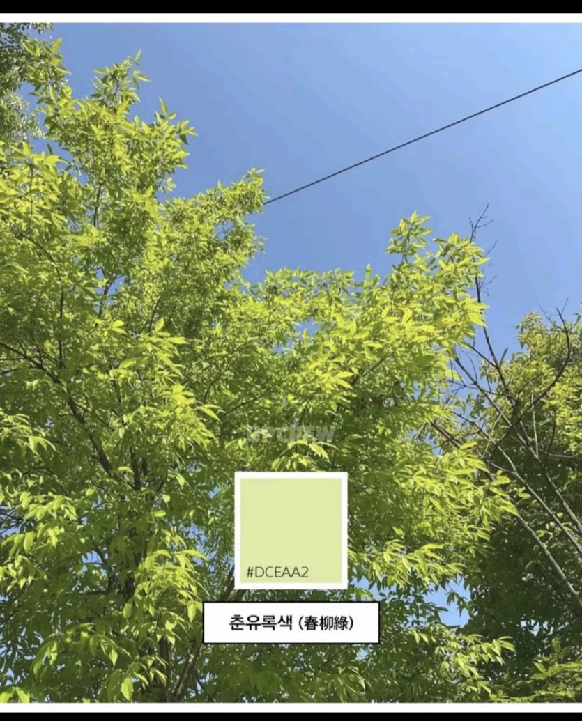 일주일 마무리,,,,