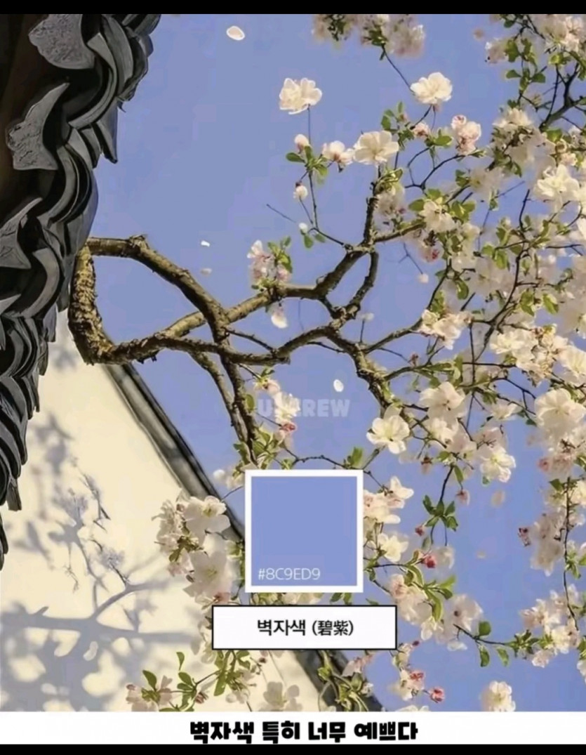 저녁반 화이팅 ㅎ