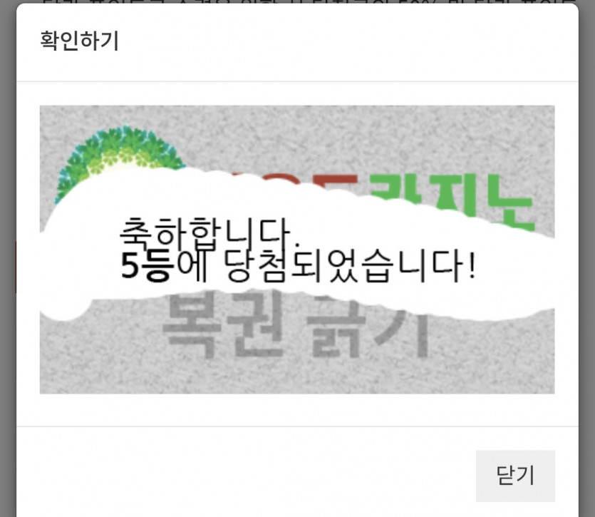 주5555복이