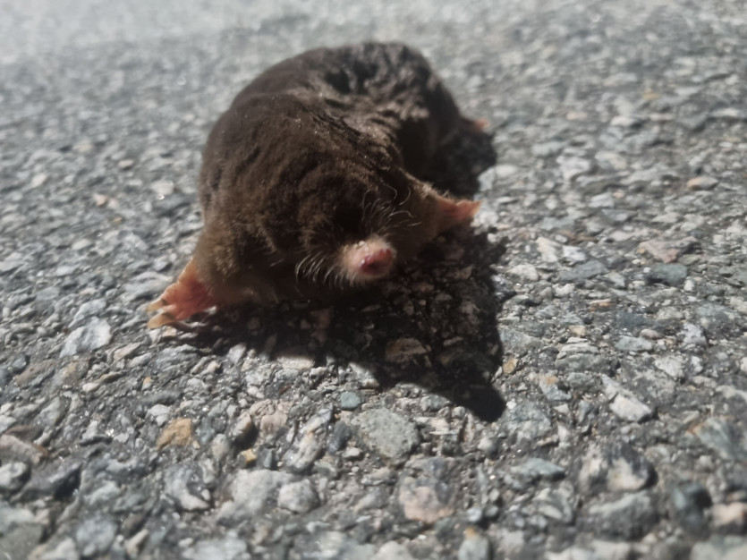 헐.. 저 방금 길가다가