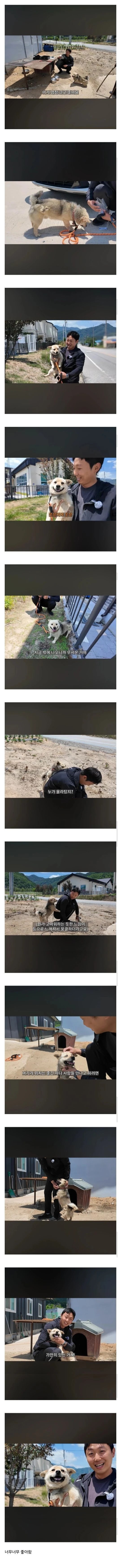 평색 묶여있던 시골개 산책 시키기