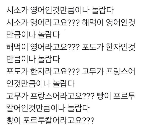 시소가 영어인것만큼이나 놀랍다