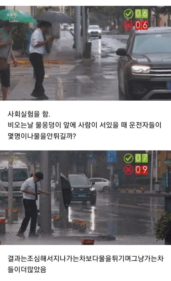 비오는 날 물웅덩이 사회실험