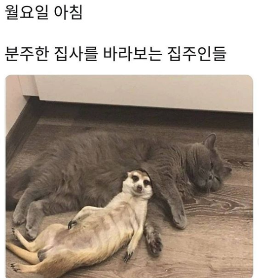 월요일 아침 모습