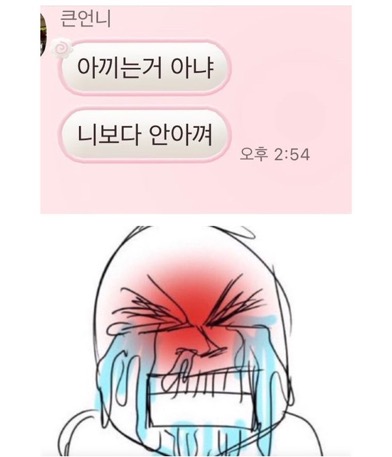 언니가 비싼 옷 빌려줬는데