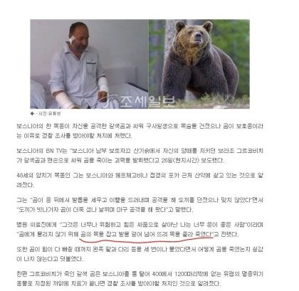 맨손으로 곰을 죽였다는 남자 ㄷㄷ