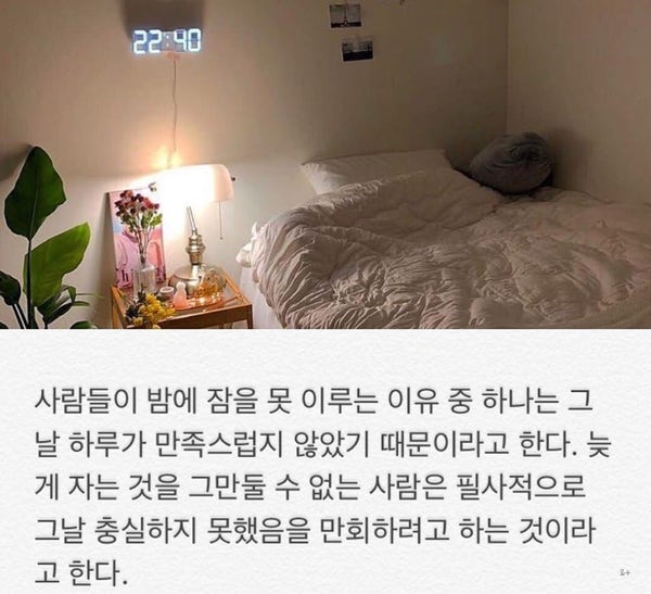  늦게 잠드는이유