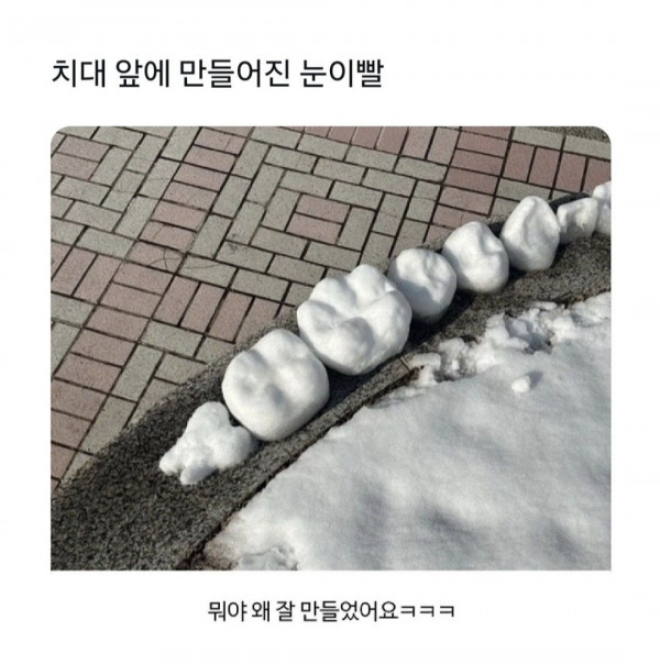 치대 앞 눈