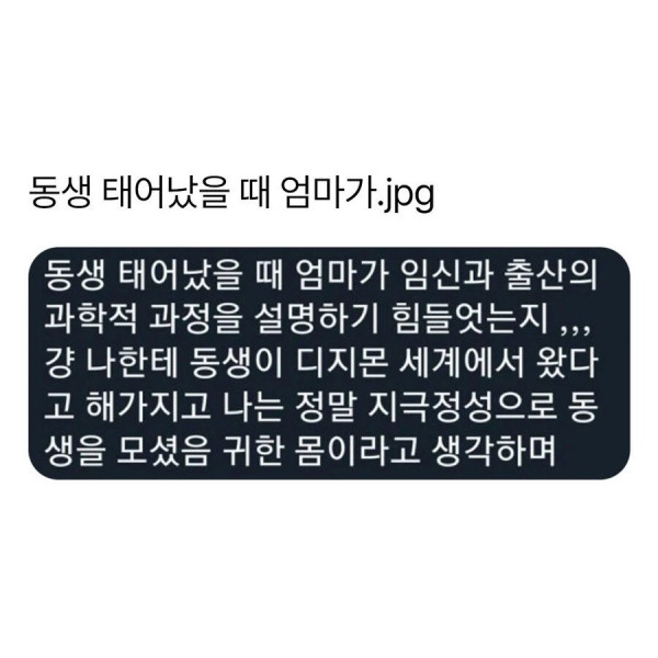 엄마가 알려주는 동생 출생의 비밀