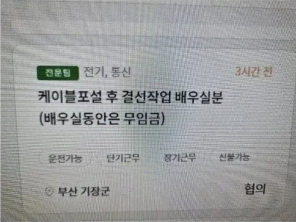 날강도들