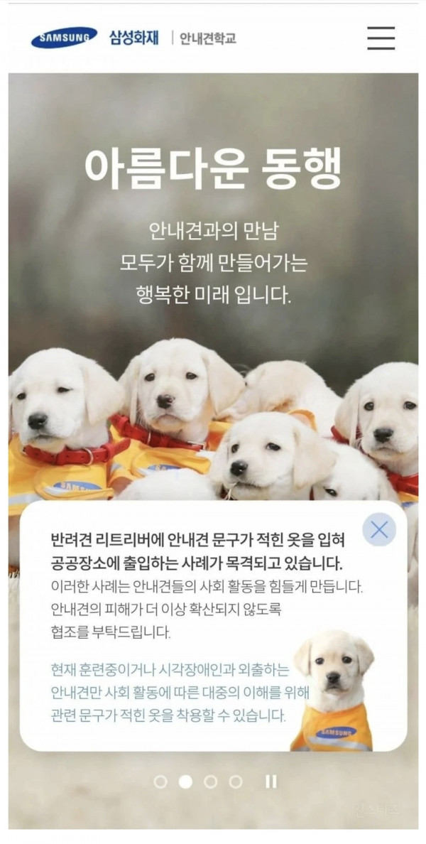 안내견 사칭..