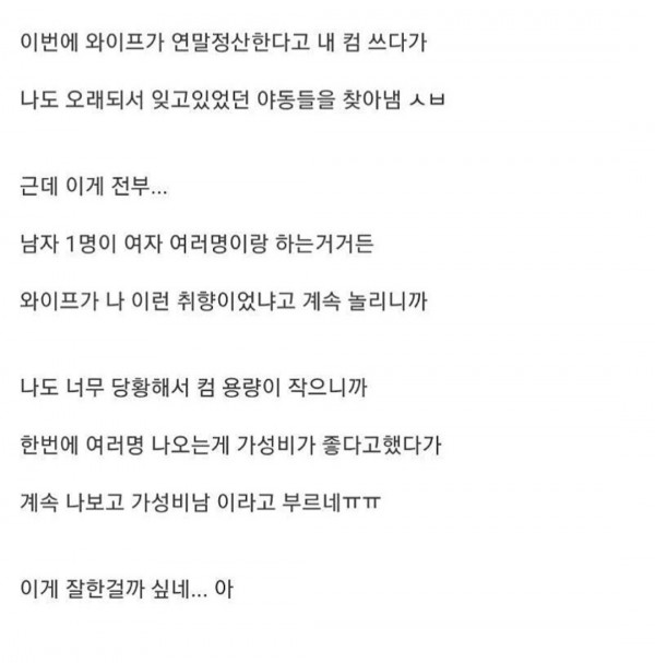와이프에 야동 걸린 남자의 변명