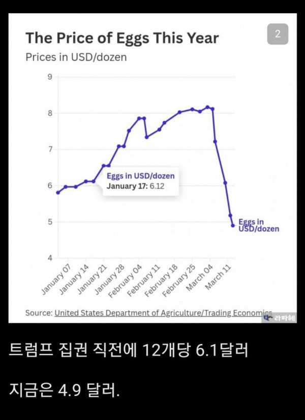 싱글벙글 미국 계란값 근황