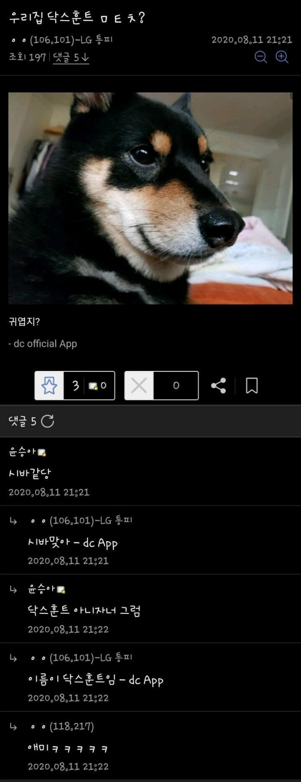 자기집 댕댕이 자랑하는 사람