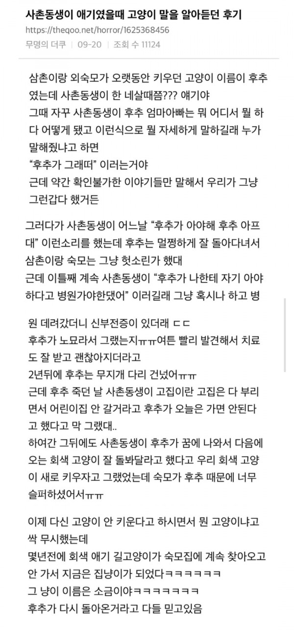 고양이 말을 알아듣는 사촌