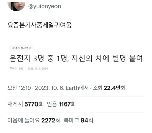 귀여운 기사