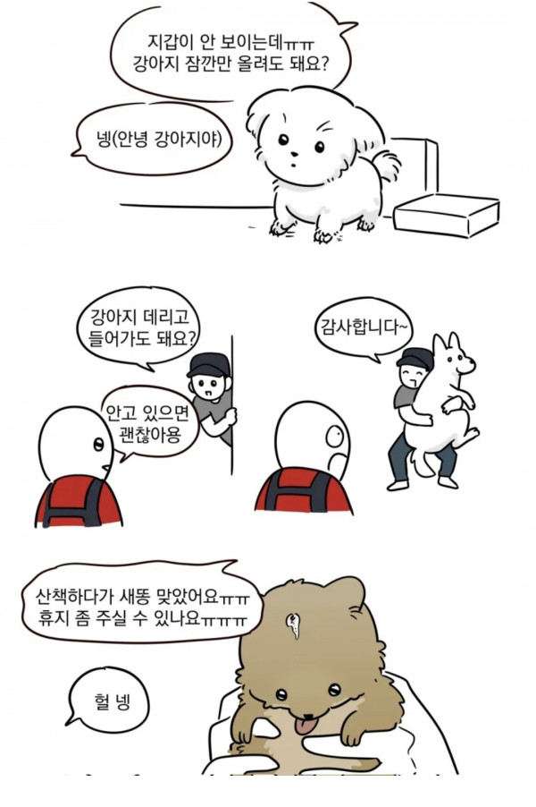 다이소 알바하며 겪은 강아지