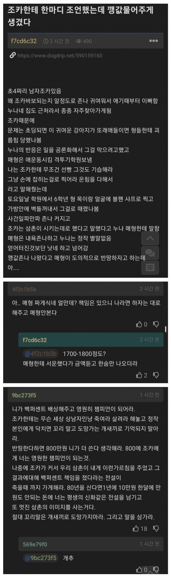 조카한테 조언했다가...