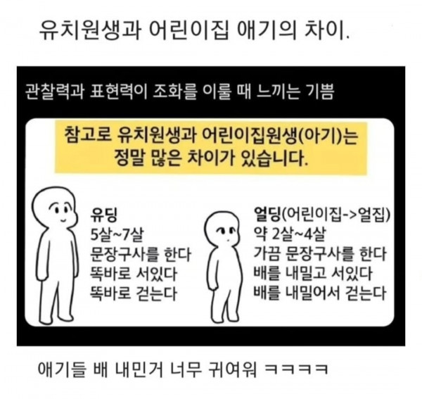 애기들 차이