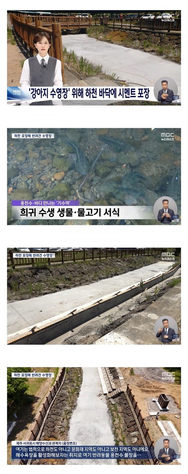 어질 어질 제주 서귀포