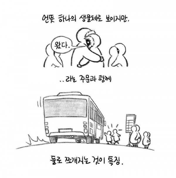 버스정류장에서 자주 보인다는 눈사람