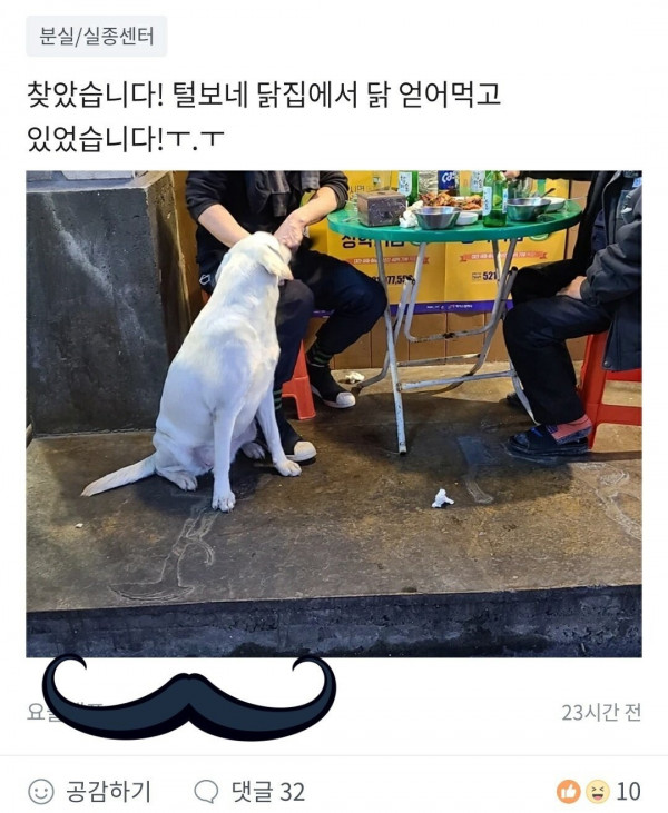 집 나간 강아지가 간 곳