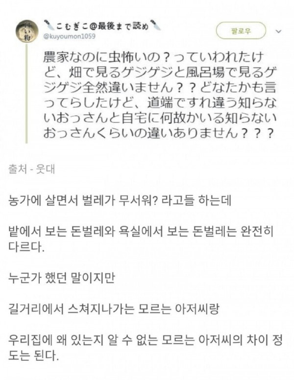 시골 살면서 벌레가 무서운 이유