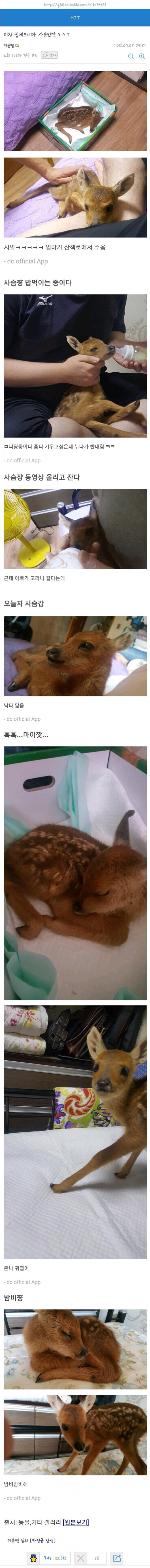 미친 집에 오니까 사슴있닼ㅋㅋ