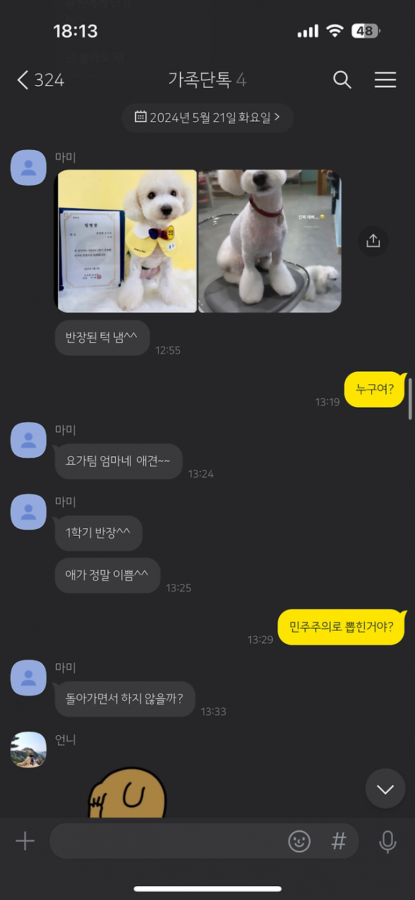 강아지 유치원 반장선거 근황