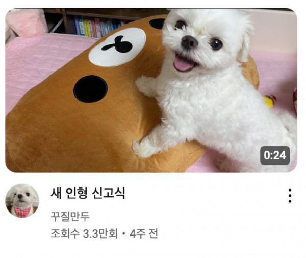 새 인형 신고식