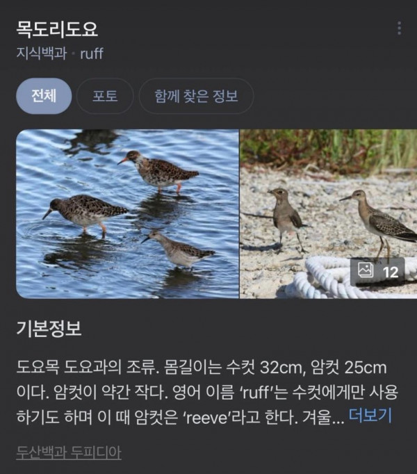 오늘 되게 추워요 외출시 귀도리 꼭하세요 그리고