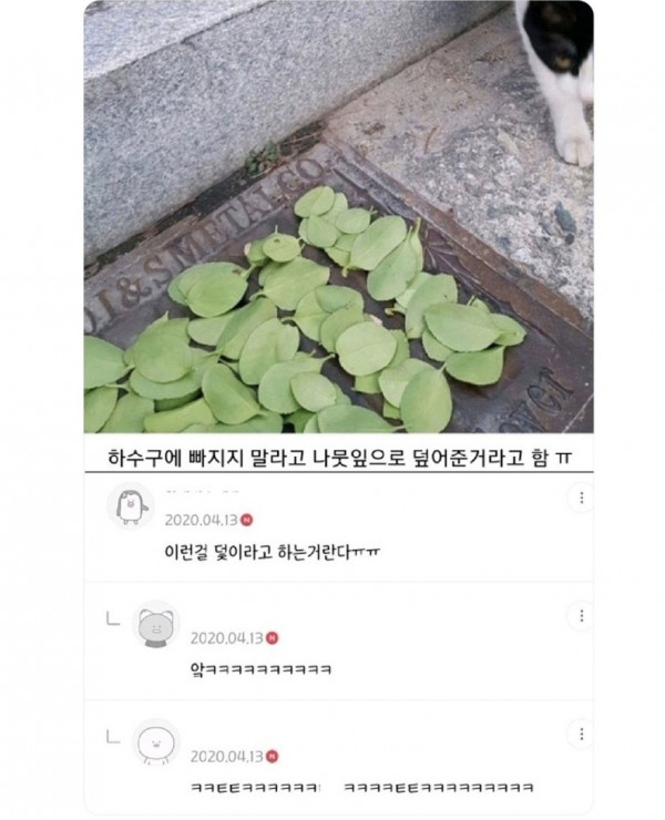 고양이를 위한 초등학생들의 배려