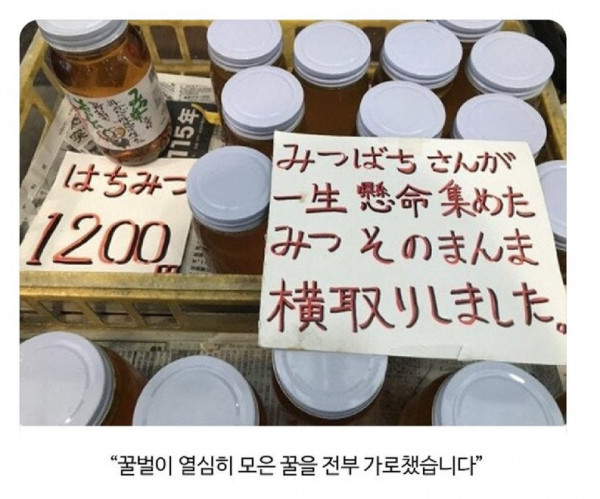 맞는 말인데 뭔가 너무함