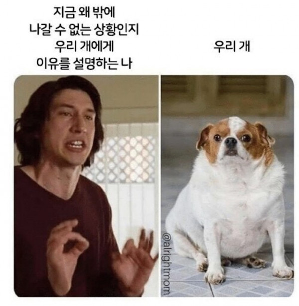 이 날씨에 산책 가자는 멍멍이