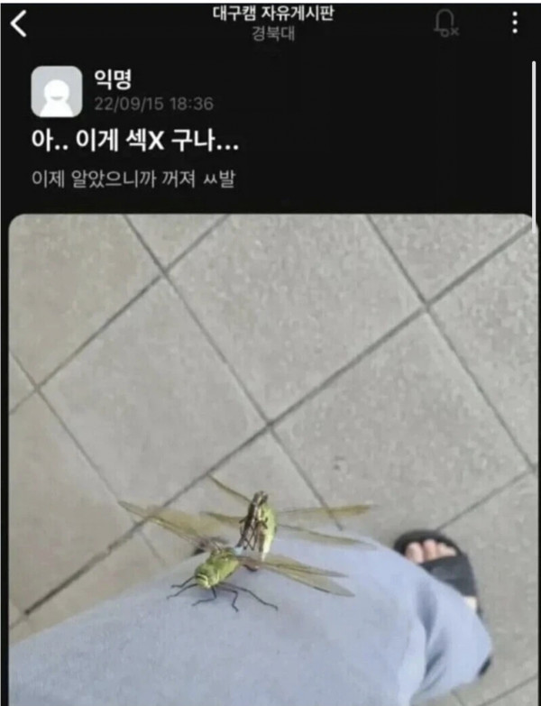  깨달음