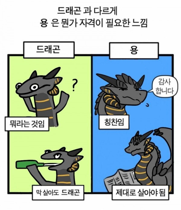 드래곤과 용이 다른 이유