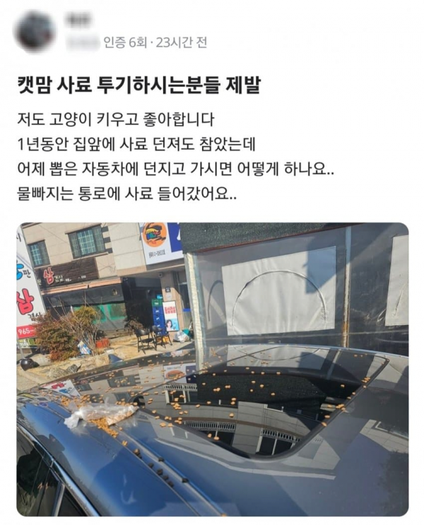 캣맘의 새로운 사료 주는 방법 ㄷㄷㄷㄷㄷㄷㄷㄷ