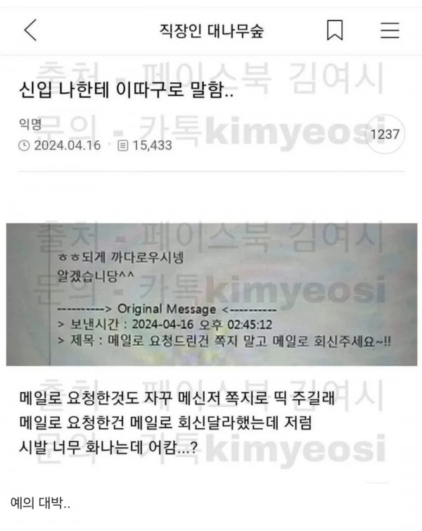 신입 말 뽄세