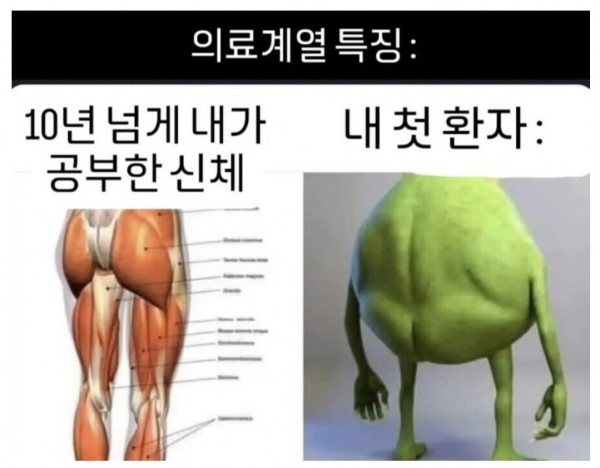 정형외과 특