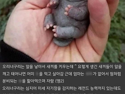 f476624d67e39fa6b5cc4abdae0ad7c1_Cln5pIBu_5388355913616e0083787970beabee4da29fd7d6.jpg