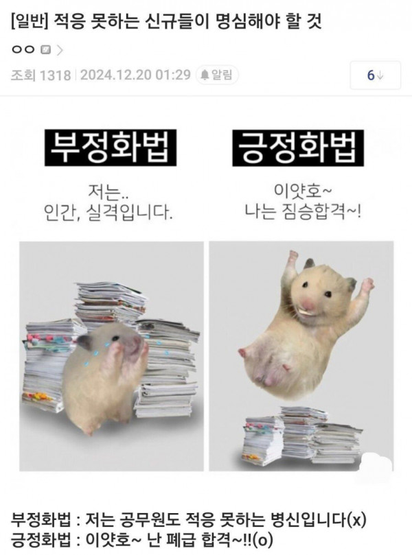 적응 못하는 직장 신규들이 명심해야 할 것