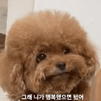 ☆☆☆3시30분~~~~~가쥬아☆☆☆